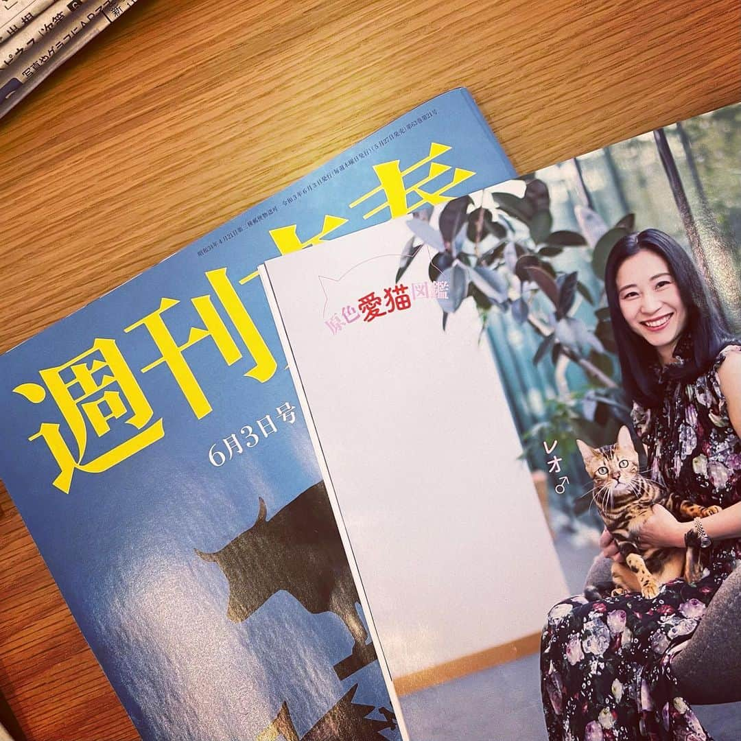 三浦瑠麗さんのインスタグラム写真 - (三浦瑠麗Instagram)「なんと、発売中の週刊文春カラーグラビアにレオくんが登場…。 原色愛猫図鑑、ぜひご覧くださいませ。」5月28日 11時11分 - lullymiura