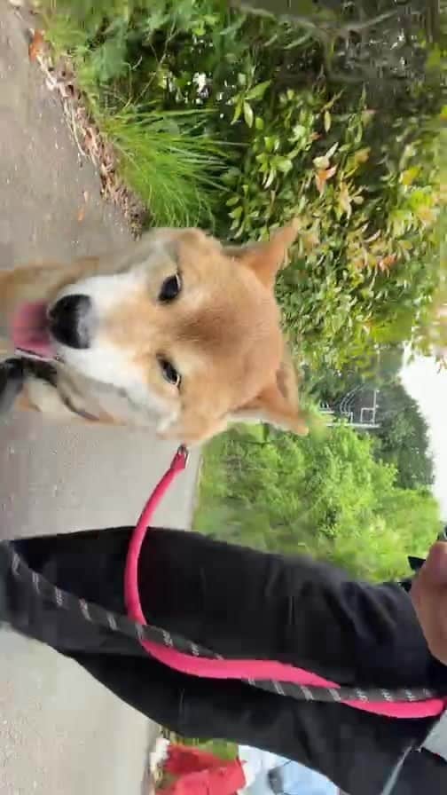 のインスタグラム