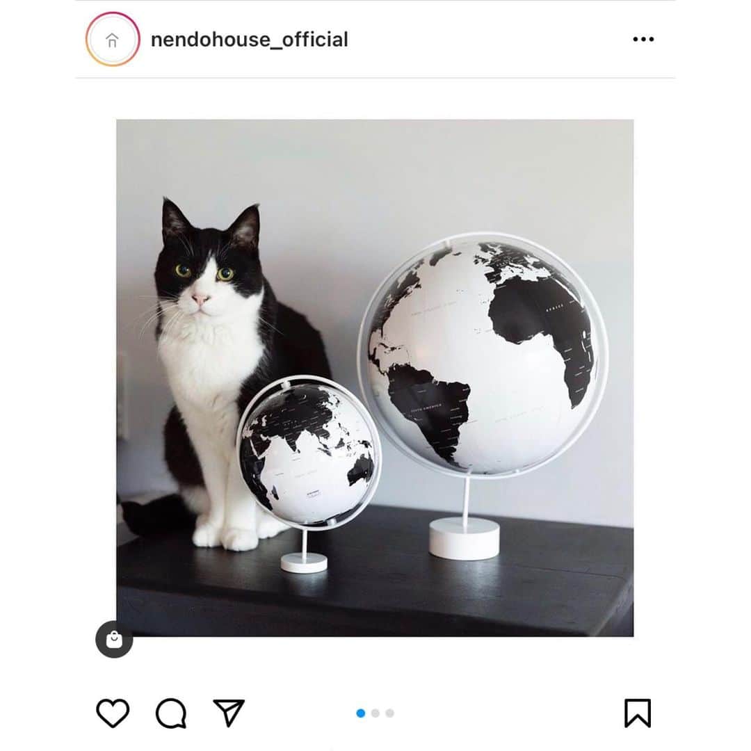 のインスタグラム：「世界の”nendo“プロダクトが一堂に集まった﻿ オフィシャルWebサイト『nendo house』。 @nendohouse_official  ﻿ 光栄にもスタイリングに参加させて頂きました。﻿ ﻿ 自宅でのシーンもあり、﻿ 偶然飛び乗ったポポが奇跡のモノトーンを﻿ 演出してくれました。🐈‍⬛﻿ ﻿ 是非ご覧下さい！﻿ ﻿ #nendo #nendohouse #佐藤オオキ　@ishiikanaeworks #猫シャインズ　#ポポ　﻿ ﻿」
