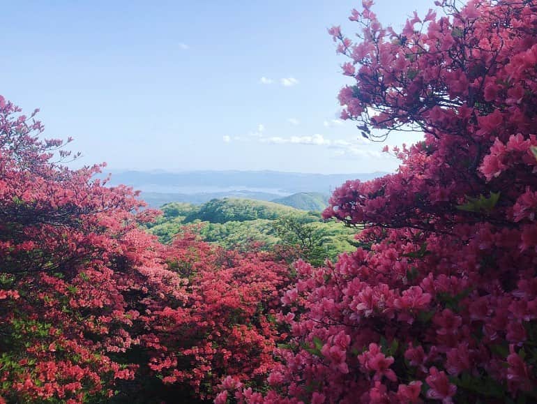 中江有里さんのインスタグラム写真 - (中江有里Instagram)「友人から届いた写真。  なんて美しい。。。ベンチに座って、ただ景色を眺めていたい。 そんな気持ちになりました。  遠くへ行きたいなぁ。。。」5月28日 11時59分 - yurinbow1226