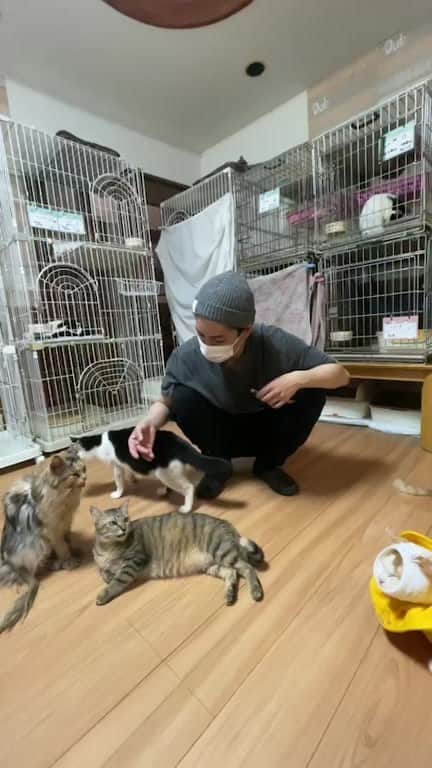 のインスタグラム