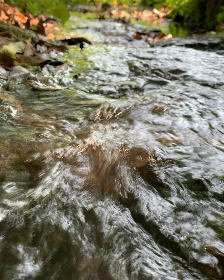 渡辺裕之のインスタグラム：「初夏の水音 #水音  #せせらぎ #初夏 #癒し」