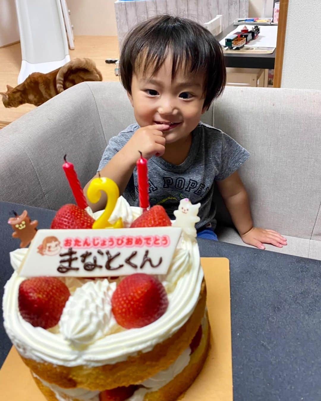 輝良まさとさんのインスタグラム写真 - (輝良まさとInstagram)「・ 2021.6.11 真那人2歳になりました❤️❤️  いつも私たちに癒しと幸せをありがとう😊❤️  当日は夕方から私の両親とルイくん（愛犬）が滋賀から駆け付けてくれて、一緒に保育園のお迎えへ行ってから自宅でパーティー🏠🎂  洋服も用意してたのに、着替えたくないと断固拒否だったので、保育園の帰りの服のまま😅💦笑  じぃじ・ばぁば、ルイくんが来てくれてめちゃくちゃテンション高かったし、久しぶりのケーキに沢山のプレゼントにとっても嬉しそうでした❤️❤️ 真那人の楽しそうで嬉しそうな顔がたくさん見れて満足です😊  やんちゃが過ぎて最近怪我をすることもちょこちょこ増えてきたので、怪我や病気にはほんと気を付けてこれからもすくすく元気に大きくなってねー❤️  本当は今日明日と東条湖おもちゃ王国へ誕生日旅行へ行こうかと思ってましたが、緊急事態宣言中だし、お天気もいまいちそうなので、だったらプールも目当てに梅雨明けしてから私と主人の誕生日もかねて7月末に行くことにしました😅 今度はそれを楽しみに日々頑張るぞー🤣❣️  #2歳#誕生日#おめでとう#自宅パーティー#レインボーベビー#レインボーベビー真那人#令和元年ベビー#6月生まれ#2歳#なりました#幼児#やんちゃ#活発#元気いっぱい#可愛い#愛おしい」6月12日 7時06分 - kirahama0703