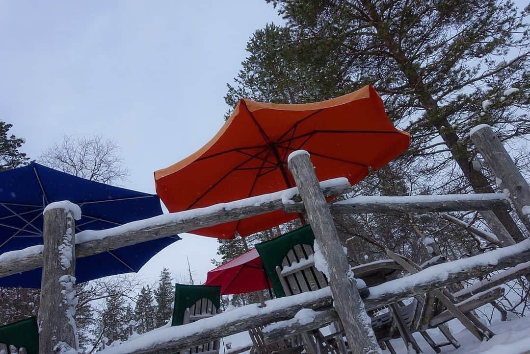 辰巳奈都子さんのインスタグラム写真 - (辰巳奈都子Instagram)「フィンランドへは10日間滞在。  この頃はもう寒さにも慣れて、 今日は−15°かぁ、マシだねぇなんて言ってました😅  ほとんどを室内で過ごすゆっくりとした時間を楽しんでました❄︎  夜は宿泊客がわさわさとロビーに集まり知らずのうちに談笑会🍷  欧州から来た可愛らしい男の子の兄弟、ご両親も一緒にちょっとお喋り☕️  お父さんは1日の終わりに日記を。 かっこいい。  オーロラハンティングに向け カメラの練習もしてました。自主練習するなんてなんて真面目な私たち🤣オーロラがいざ出現した時、カメラの設定でもたついてたらもったいない‼️  美香ちゃんがメカに結構詳しくて、youtube見ながら、カメラの設定を教えてくれたり。 のちのち、この予習が 本当に役に立ちました‼️」5月29日 0時23分 - tatsumi_natsuko