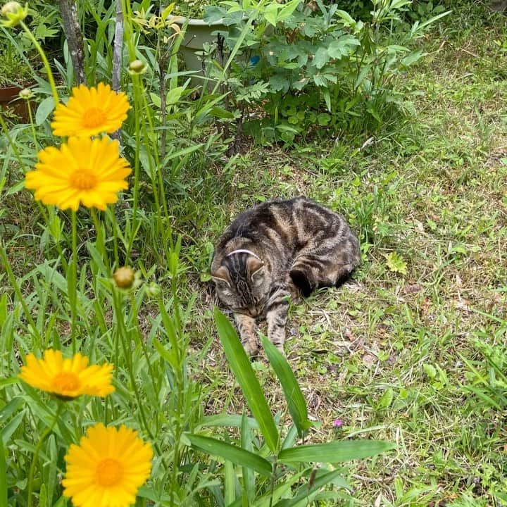 上野貴穂のインスタグラム