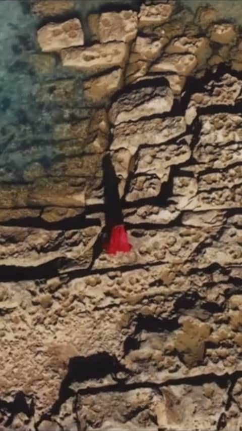 サネリー・ジェームズのインスタグラム：「Official video out now! ☀️♥️  @dragonette @sunneryjamesryanmarciano  @catdealers @brunomartinimusic」