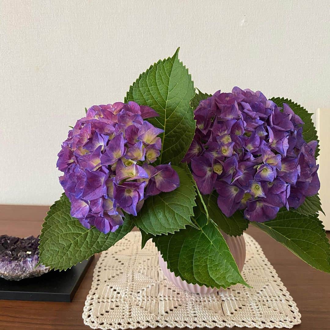 熊谷真実さんのインスタグラム写真 - (熊谷真実Instagram)「お庭の紫陽花をお裾分けしてもらいました、可愛いなぁ。  アメジストちゃんもウキウキ、  #熊谷真実 #紫陽花の季節が好き #紫陽花が大好き #梅雨だけど好き #母を思い出す #パワーストーン」5月28日 16時59分 - mami_kumagai310