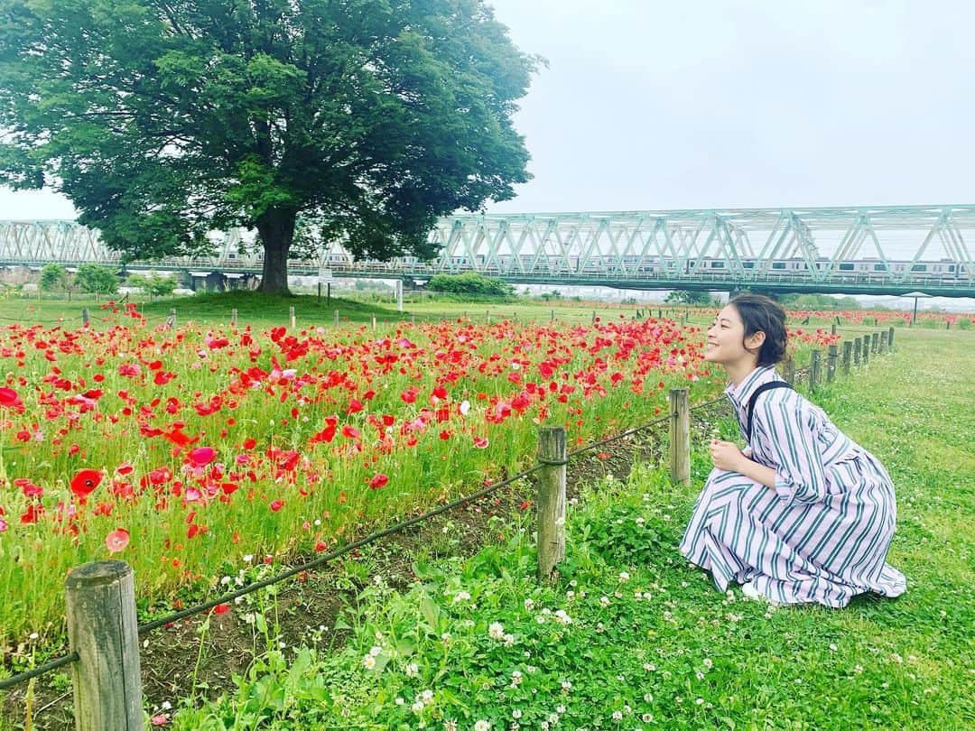 瀧本美織のインスタグラム：「🦁 「ぶらり途中下車の旅」 明日29日、 あさ9時25分～10時30分！ 中央・総武線を旅させていただきました。 そこで私出逢っちゃいましたよ…運命のあの子に。 最高でした！ゆるりとみてみてくださいな🤤  👜 @lazysusan_official   #ぶらり途中下車の旅   #ぶらり旅  #中央線  #総武線」