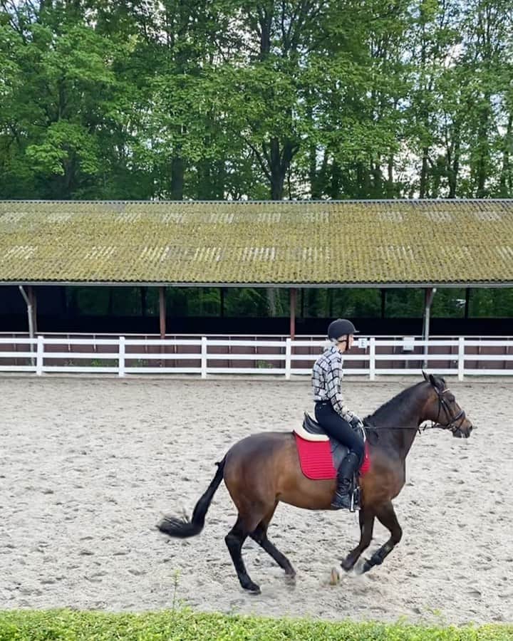 マリヤン・ジョンクマンのインスタグラム：「🐴🐴🐴🐴」
