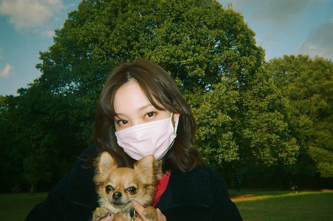 水谷望愛さんのインスタグラム写真 - (水谷望愛Instagram)「🌳 ❤ ❤ ❤ おいぬさま #chihuahua#charles#ちゃーさんぽ#🌳#dogstagram#🐶」5月29日 1時05分 - noa0209_x_x_