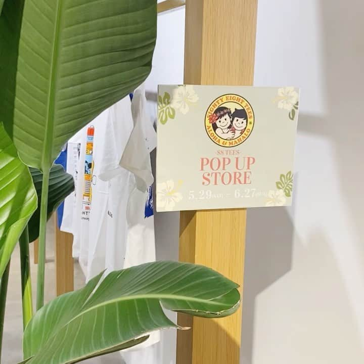 Lilly and Emmaのインスタグラム：「本日5/29(STA)より、 ハワイで大人気の『88TEES』のPOP UPを開催いたしております😆💕💕  ハワイになかなか行くことのできない今、 渋谷マルイ3階・FEEL ALOHA内にあるFEEL ALOHA Presented by ma-fuにハワイを感じに来ませんか！？🤙🌺🌴  メンズ、レディースの他、キッズサイズもご用意致しております👨‍👩‍👧‍👦🎶🎶  是非お気軽にお立ち寄りください😁💕💕  88TEES POPUP 開催期間 2021.5/29(STA)-6/27(SUN)﻿ ※数には限りがございますのでご注意ください。  ﻿ #88tees #88teestシャツ  @88teesofficial   #feelaloha #hawaii #aloha #tshirt  #lillyemma #mafu #ハワイ #tシャツ  #リリエマ #ラニラニ @lilly_emma_hawaii @lanilani_hawaii @make_your_life_fulfilling」