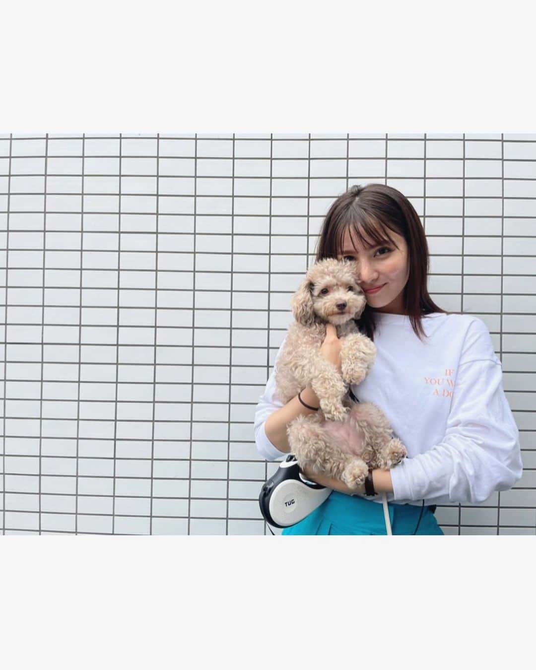 石川恋さんのインスタグラム写真 - (石川恋Instagram)「ちぇるさんぽコーデ🐶👟 今季一目惚れして即買いした、 鮮やかなブルーのワイドパンツ💙 軽いし形も綺麗でブラックも買っちゃった。 ヘビロテ確定アイテム🥳 #ちぇるさんぽ #ちぇるさんぽコーデ #StyledbyRen #ootd #Chelsea」5月29日 18時29分 - ren_ishikawa