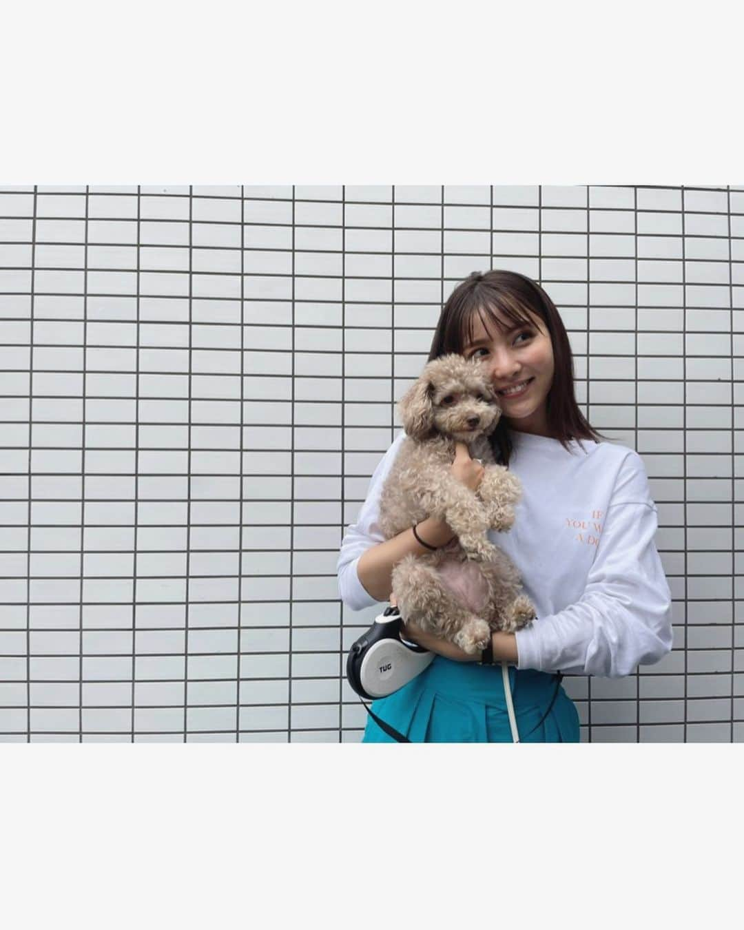 石川恋さんのインスタグラム写真 - (石川恋Instagram)「ちぇるさんぽコーデ🐶👟 今季一目惚れして即買いした、 鮮やかなブルーのワイドパンツ💙 軽いし形も綺麗でブラックも買っちゃった。 ヘビロテ確定アイテム🥳 #ちぇるさんぽ #ちぇるさんぽコーデ #StyledbyRen #ootd #Chelsea」5月29日 18時29分 - ren_ishikawa