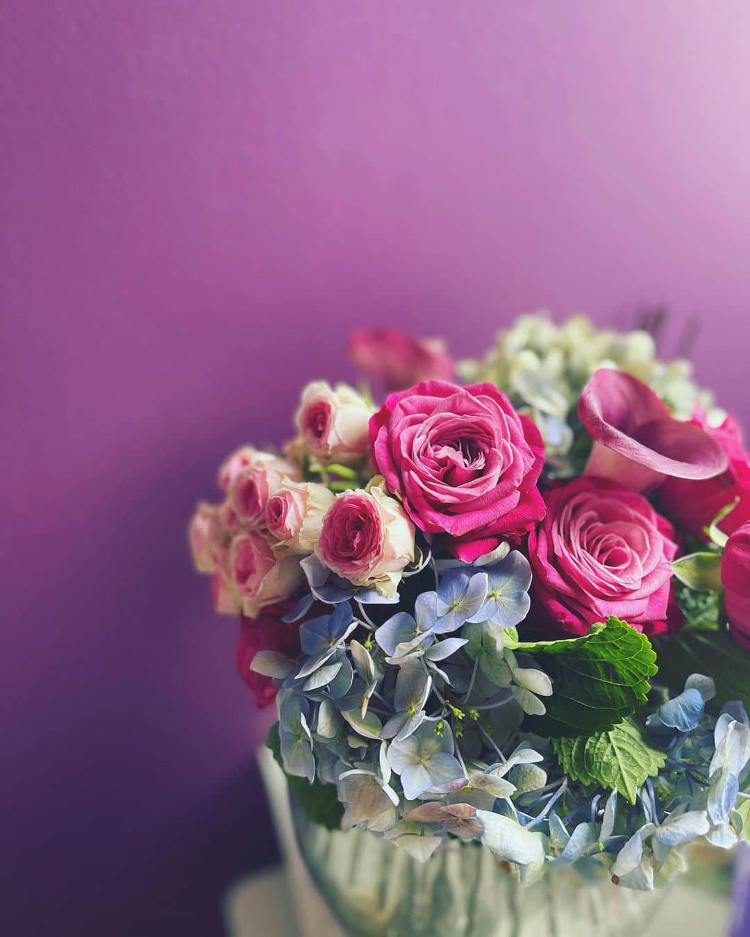 神崎恵さんのインスタグラム写真 - (神崎恵Instagram)「終わりそうだったテラスの紫陽花をお部屋に💠 いつものように朝トレーニングから始まった土曜日。 穏やかな週末になりますように🌿  #花 #紫陽花 #メイクルーム」5月29日 9時59分 - megumi_kanzaki