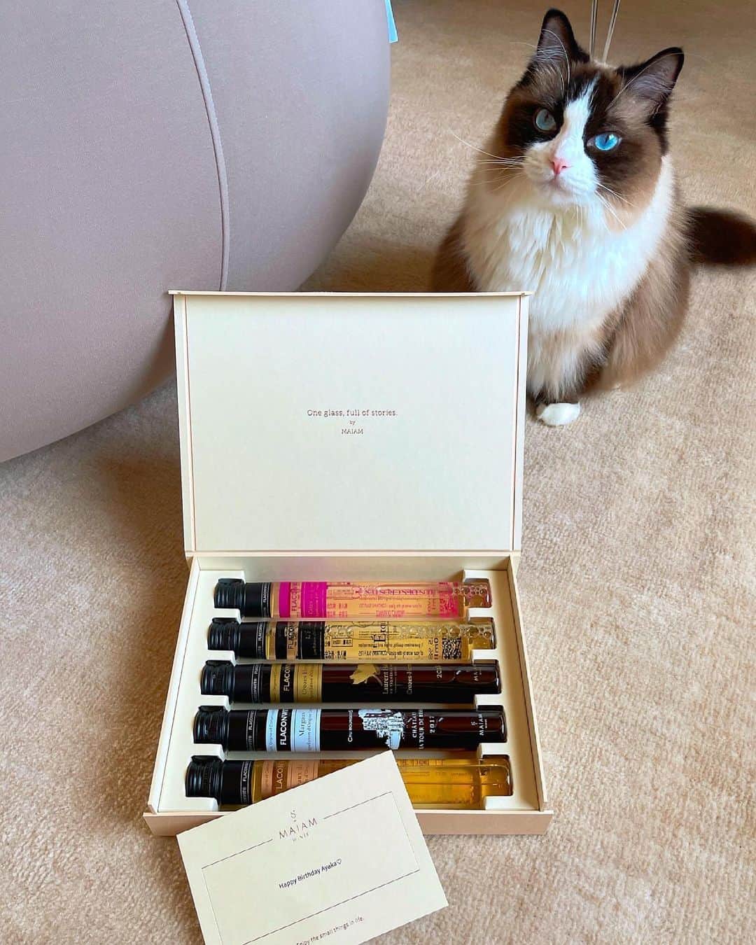 國嶋絢香のインスタグラム：「♡  お友達からの誕生日プレゼントがめちゃくちゃ洒落てて素敵だったのでシェアさせてくださいっ✨ @maiamwines のワインセット💕 グラス一杯分ずつくらいの量で色々楽しめて、それにあったお料理も詳しく提案されてて素敵すぎる🥺 たまに飲むとたまらん美味しい貴腐ワインも入ってた💛  ペアリングコースも気になるな〜！ 飲むの楽しみ🍷🤍お辰ありがとうっ🎶  #maiamwines #グラス一杯の幸せワイン  #おこもりワイン #マイアムワイン #bloome  #最近お花のサブスク始めました」