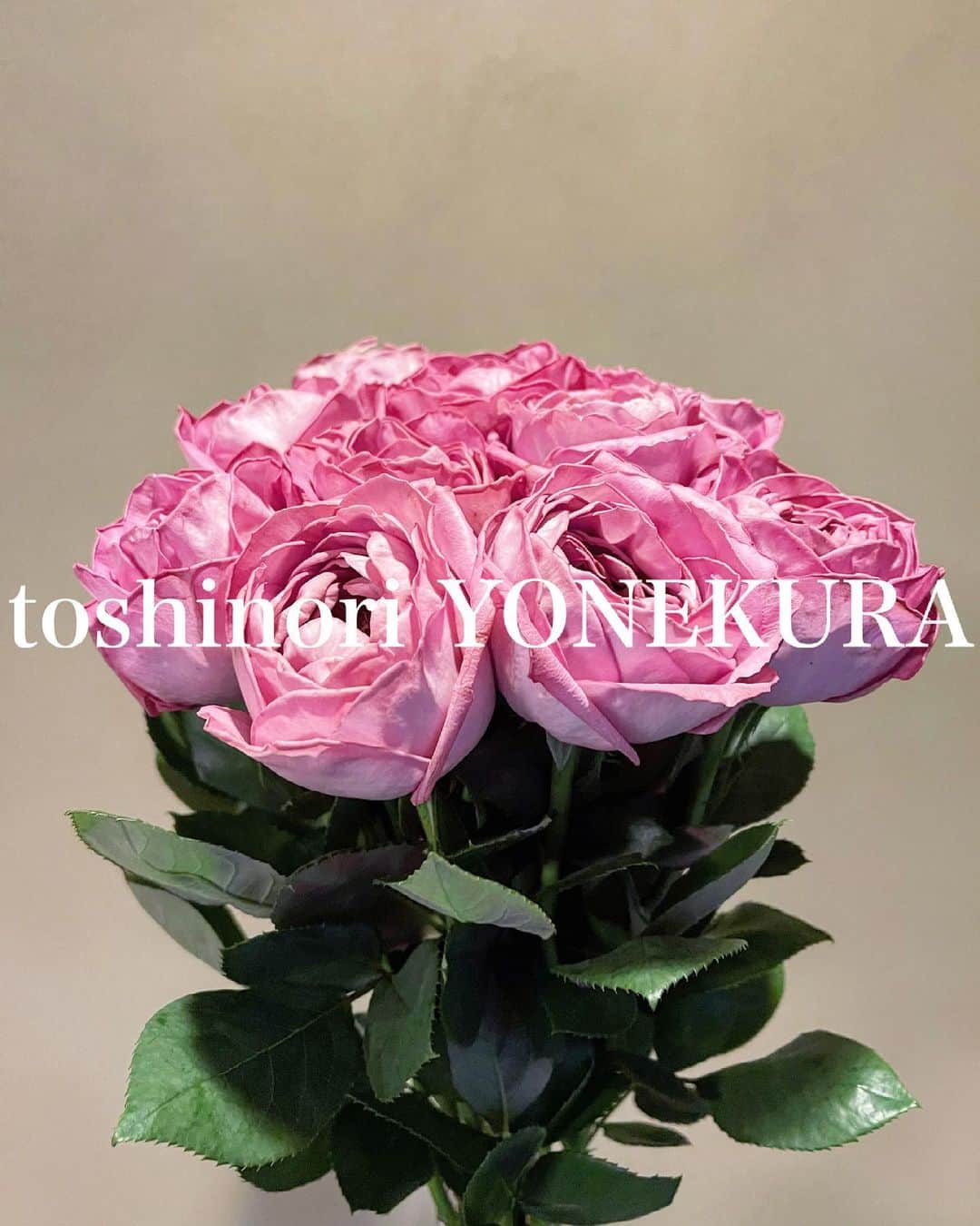 米倉利紀さんのインスタグラム写真 - (米倉利紀Instagram)「flowers of this week #男花 #花のある生活」5月29日 11時07分 - toshi_yonekura