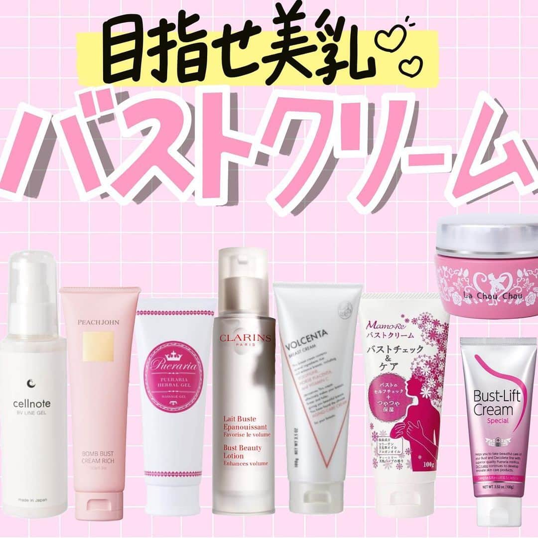 ラシュシュ ナノプラス100g 24個セット