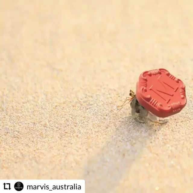 Marvis par AEGIS-Pharmaのインスタグラム：「Ne soyez pas timide ! ll est temps de sortir de votre coquille et d'explorer le monde des saveurs avec Marvis ! 🦀⛵️  @marvis_is #marvis #dentifrice #toothpaste #luxe #illustration #creation #creativite #artwork #inspiration #artiste #design #aegis #dentifrice #marvisfrance #pharmacie #conceptstore #aegispharma #aegisapothecary #distributeur #produitsdexception #exception」