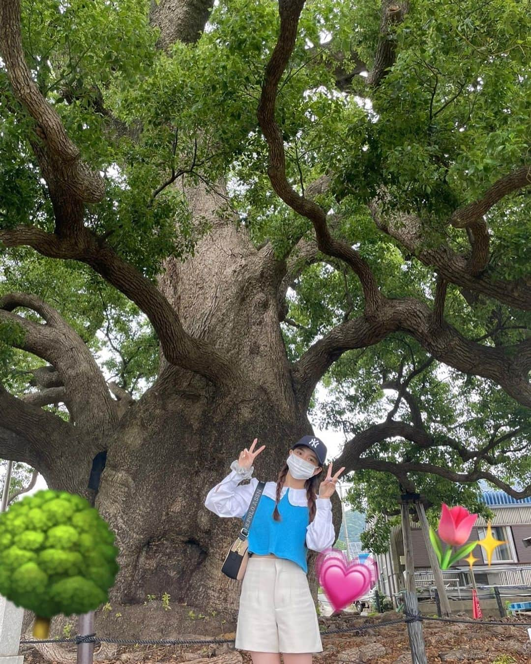 NiziUさんのインスタグラム写真 - (NiziUInstagram)「自然を感じてきた とても木が大きかった🌳🪵💫 -----------------------------------🌈 자연을 느껴보고 왔다 나무가 이만큼 컸어 🌳 🪵💫」5月29日 15時29分 - niziu_artist_official