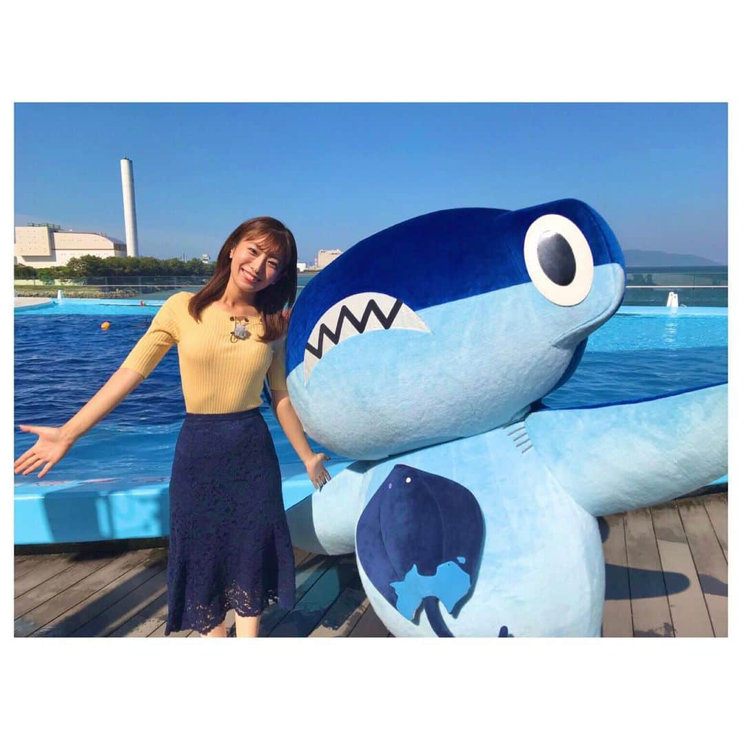 白戸ゆめのさんのインスタグラム写真 - (白戸ゆめのInstagram)「🦈 . 朝から見てくださった皆さん！ 録画してくださった皆さん！ ありがとうございました💞 雨女☔︎白戸、なんとか天気に恵まれました🥺 . 生き物たちの可愛さを 本当はもっとじっくり伝えたかったんですが 時間の都合上、テンポが早くてごめんなさい💦 . #オキアミアイスキャンデー は 全然魚来なくて焦った、、、🐟 イルカちゃんも飛ばなかった、、笑 . まだ活動時間じゃなかったので 中々見られない朝の生き物の様子を 逆に伝えられたんじゃないかと ポジティブにとらえております🙄 . およそ1年ぶりの旅サラダの生中継で #ラッシャーさん も不在で不安でしたが なんとか！無事？お届け出来ました✨ . しゅこくん、片山さん その他四国水族館のスタッフの皆さん 朝早くからたくさんのご協力ありがとうございました！ . きょうは3時に起きてねむねむなので 金曜の衣装はまた明日投稿します🙇‍♀️ おやすみなさい🌙 . #旅サラダ #abc #アナウンサー #生中継 #四国水族館 #しゅこくん #えいくん #お腹の模様は #四国の形 #香川 #宇多津 #瀬戸内海 #瀬戸大橋 #イルカプール #マダライルカ #カリフォルニアアシカ #ケープペンギン #コツメカワウソ #アカシュモクザメ #シャークフィッシュバーガー #おいしい #サメカツ #しゅこくんのお肉じゃないよ」5月29日 16時04分 - yumeno.s_