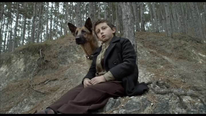 オーガスト・マトゥーロのインスタグラム：「NOW PLAYING! ‘Shepherd: The Story of a Jewish Dog’ is in theaters in: Los Angeles, New York, San Diego, Texas, Arizona, Michigan, Ohio, Florida, Las Vegas, & Illinois.  Tickets available on the Flixster & Fandango App.」