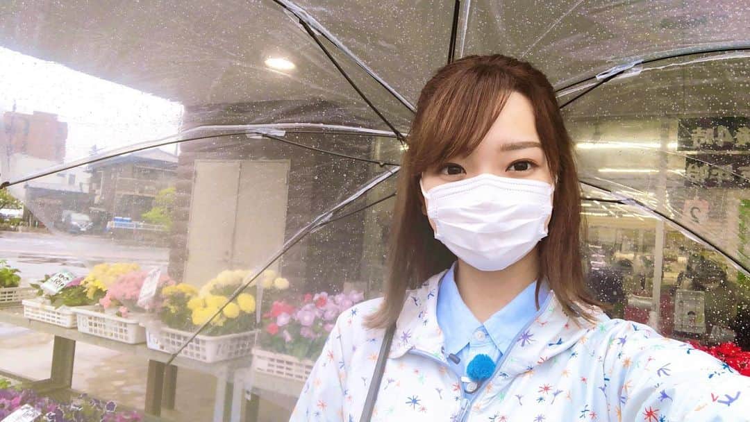 濱村春香のインスタグラム：「.﻿ 今回の旬ナビはHACCP（ハサップ）をリサーチ✨﻿ そして、なんと今回…﻿ ついに晴れ女負けてしまいました☂️ ﻿ 明日5/30(日)朝9時〜﻿ 再放送5/31(月)朝10時〜﻿ ﻿ ぜひご覧ください！﻿ ﻿ #かながわ旬菜ナビ #旬ナビ #JA #JA神奈川グループ #テレビ神奈川 #tvk #montbell #衣装提供」