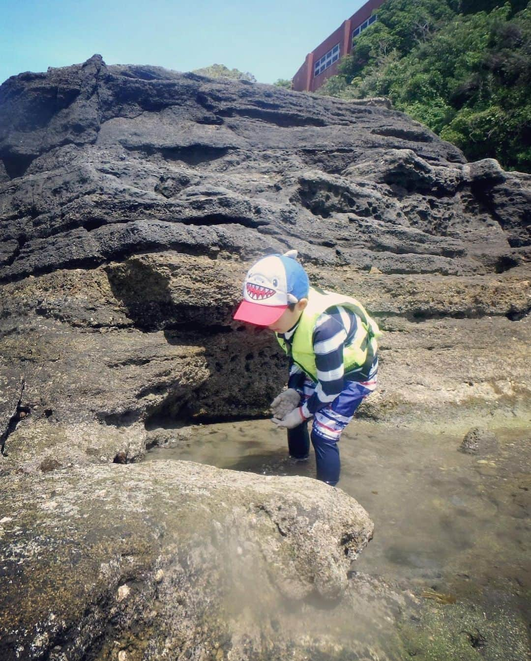 釈由美子さんのインスタグラム写真 - (釈由美子Instagram)「先日、三浦半島の油壺で 磯遊びしてきました🐟  ヤドカリやカニ🦀 ハゼなどたくさん発見できました🤩  バケツに入れて観察したら すぐリリース👋  キレイなアオウミウシも初めて拝めて 息子も大感動してました🤩✨‼️  ほんの数年前まで ダンゴムシさえ触れない程ビビリだったというのに  ずいぶん、たくましくなったもんだ。  男の子らしく、やんちゃでおバカで あきれるほど愛おしい。  キラキラ無邪気な笑顔を毎日見せてくれるのが 私にとって一番の癒しです。。  (*´ｪ｀*)  #磯遊び #三浦半島 #油壺 #油壺マリンパーク #9月末で閉館なんて寂しすぎる🥲 #アオウミウシ #磯遊びは初めて #城ヶ島で釣りもしまして #真鯛2匹釣れました😆」5月29日 23時20分 - yumikoshaku