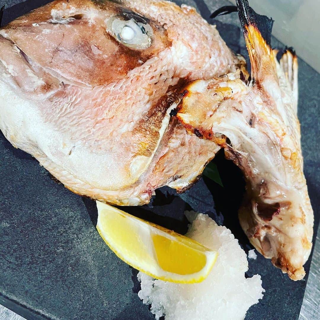とろ函　守山店のインスタグラム：「とろ函守山です！  鯛の兜焼き！480円！！ いかがですかぁ？？？  #とろ函#居酒屋 #滋賀県 #滋賀グルメ#守山駅 #鮮魚 #海鮮 #新鮮 #駅近 #日本酒 #地酒 #北海道#牡蠣 #個室 #団体 #貸切 #接待 #合コン #コース #飲み放題 #安い #主婦 #サプライズ #宴会 #炭火焼#ハッピーアワー#コロナに負けるな#鯛兜焼き」
