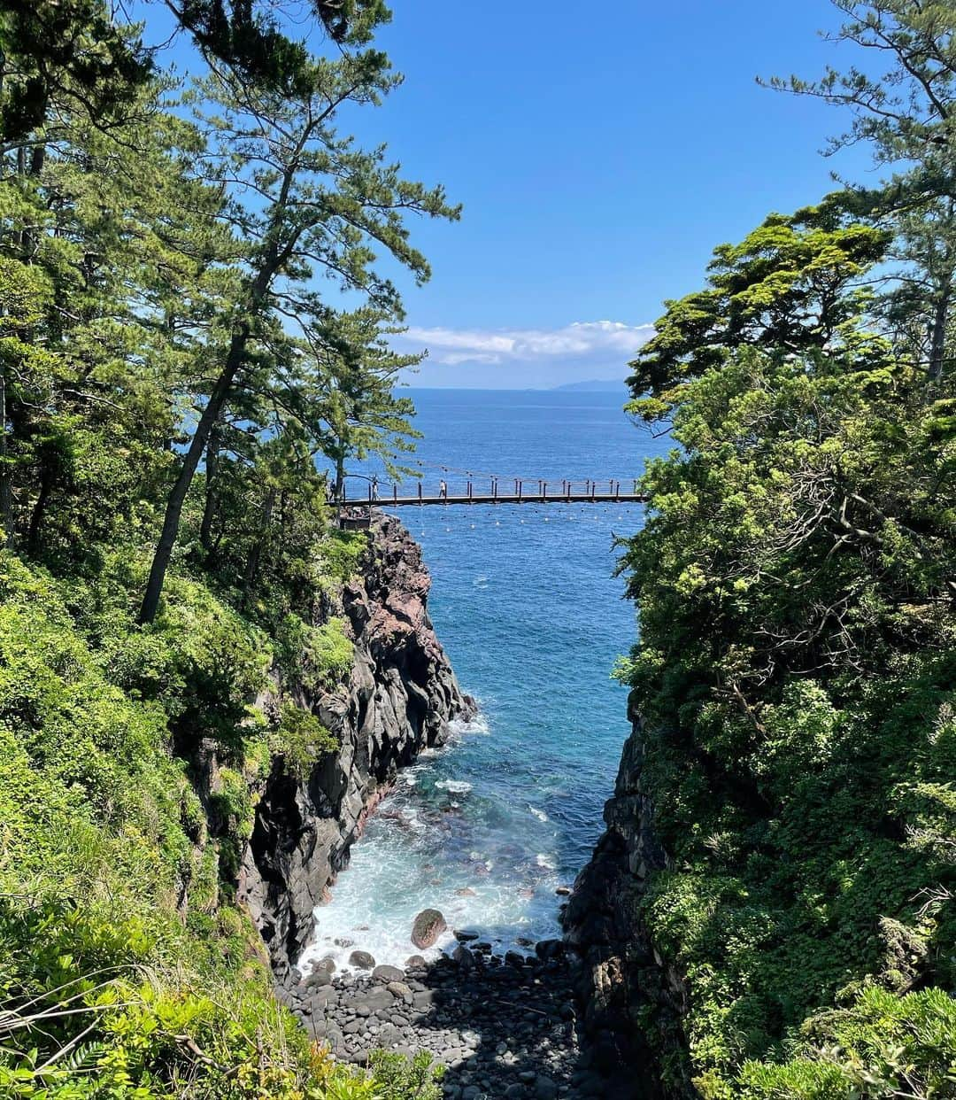 小野澤玲奈さんのインスタグラム写真 - (小野澤玲奈Instagram)「城ヶ崎の吊り橋  スリル満点＆地形ダイナミック🥰  #先週の出来事  #きょうはお仕事  #城ヶ崎海岸 #城ヶ崎海岸吊り橋  #吊り橋楽しい派 #コロナ収まったら渡りに来て」5月30日 13時14分 - reina.onozawa