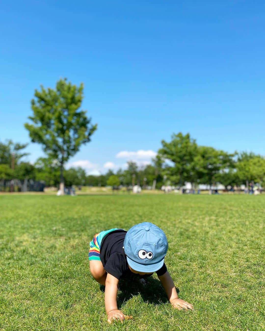 Mai Wakimizuさんのインスタグラム写真 - (Mai WakimizuInstagram)「芝と青空と息子〜♫昨日はサンドイッチ持って公園でピクニック♡広ーい芝生に最初は緊張気味だったけど、慣れると自由にハイハイ移動して息子なりに思いっきり楽しんでた＼(^o^)／でも急に夏日で日陰じゃないと耐えられない。笑  #生後10ヶ月#10ヶ月ベビー#男の子ベビー#男の子ママ#mamalife」5月30日 8時19分 - wakkin__m