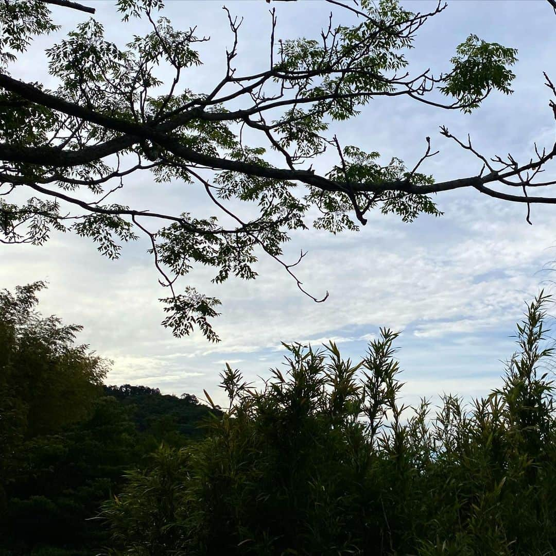 林田岬優さんのインスタグラム写真 - (林田岬優Instagram)「🌿☁️🦜💛」5月30日 8時13分 - miyu_hayashida