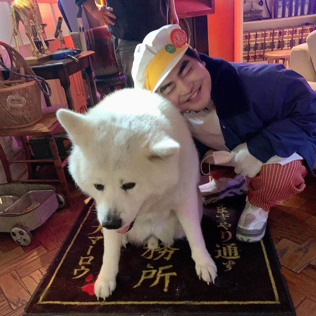 ネメシスさんのインスタグラム写真 - (ネメシスInstagram)「★ もちろんこの方にもモフられてます🐶❤️ 基本、探偵事務所来る時 日頃のマーロウ不足を補うかのように 全力でモフって帰ります🥰 #重めの愛 #マーロウよ #カメラ目線しないにも程があるぞ #女子と男子で態度を変えるでないぞ #わかりやすすぎるぞ  今夜の8話以降、 ちょっとお話しがシリアスモード全開に なるのですが、マーロウのおかげで 現場はほっこりとした空気に包まれてました🐶 #ありがとマーロウ  誰かさんが誰かさんの服を破いてしまうくらい 白熱のお芝居も繰り広げられる そんな8話からの熱い展開を お楽しみに🦖💥  #ネメシス #広瀬すず #櫻井翔 #江口洋介 #勝地涼 #中村蒼 #富田望生 #仲村トオル #真木よう子 #石黒賢 #山崎紘菜 #大島優子 #上田竜也 #橋本環奈 #奥平大兼 #加藤諒 #三島あよな #南野陽子 #入江悠」5月30日 13時45分 - nemesis_ntv_