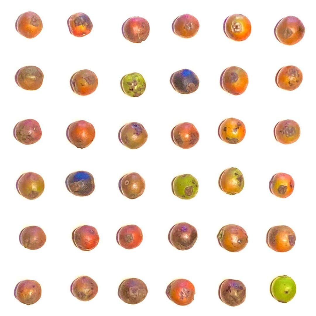 のインスタグラム：「﻿ ﻿ Polka dots﻿ ﻿ #artist #art #artwork﻿ #nude #painting #illustration ﻿ #fineart #ファインアート﻿ #contemporaryart #現代アート﻿ #mixedmedia #visualart﻿ #design #graphicdesign﻿ #artoftheday﻿ #artcollection #アートコレクター﻿ #fumiyart2021﻿ #ACTION」