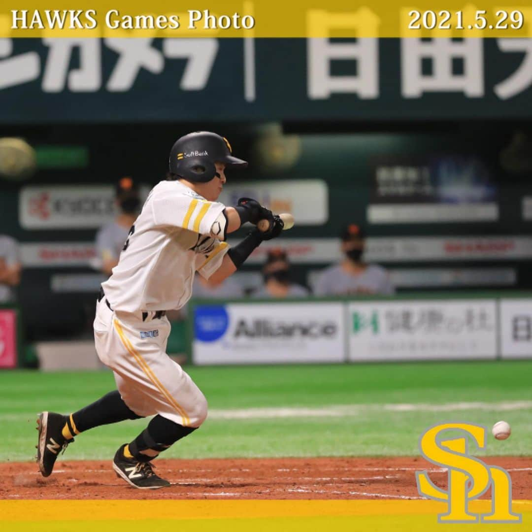 福岡ソフトバンクホークスさんのインスタグラム写真 - (福岡ソフトバンクホークスInstagram)「#hawksgamesphoto #2021年5月29日 #vs読売ジャイアンツ #福岡paypayドーム #softbankhawks #ホークス #鷹く！」5月30日 11時38分 - softbankhawks_official