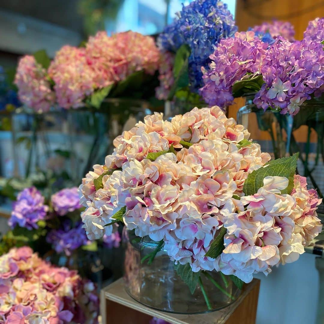 相原百花さんのインスタグラム写真 - (相原百花Instagram)「📍Sunday Brunch Shimokitazawa  🌿🌿🌿 お店入った瞬間にお花が目に入って ほんまにわーってなった🥺❤︎  紫陽花の色がキレイで写真いっぱい撮っちゃた📸 また行きたいな〜季節でお花変わるんかな？🌼  #sundaybrunch#サンデーブランチ#下北沢カフェ」5月30日 21時38分 - mo__95__6