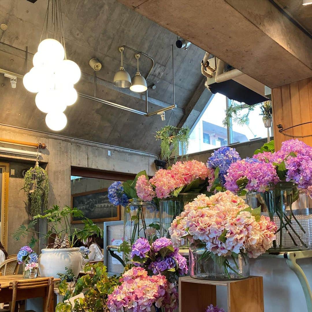 相原百花のインスタグラム：「📍Sunday Brunch Shimokitazawa  🌿🌿🌿 お店入った瞬間にお花が目に入って ほんまにわーってなった🥺❤︎  紫陽花の色がキレイで写真いっぱい撮っちゃた📸 また行きたいな〜季節でお花変わるんかな？🌼  #sundaybrunch#サンデーブランチ#下北沢カフェ」