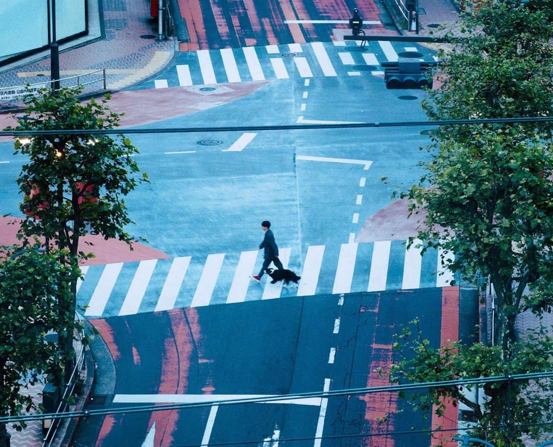 林響太朗さんのインスタグラム写真 - (林響太朗Instagram)「#星野源 #不思議 #music #video #direction #cinematography」5月30日 22時11分 - kyotaro_photo