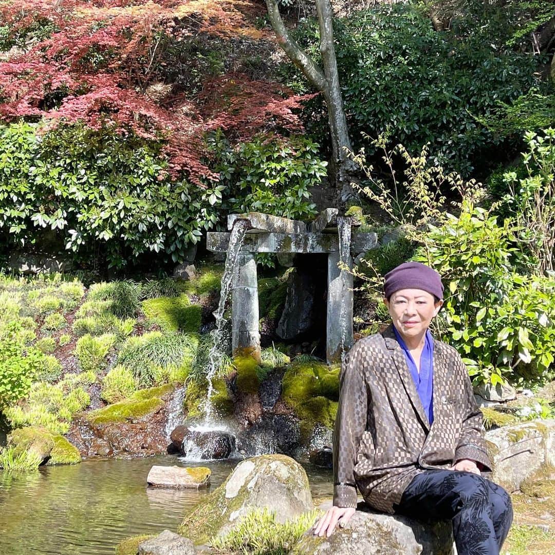 美川憲一さんのインスタグラム写真 - (美川憲一Instagram)「先日。 お墓参りにいった時の お話をブログに書いたわよ〜  こうやって健康で 過ごせていることに感謝。  2人の母にも 感謝の気持ちを伝えてきたわよ  #美川憲一#お墓参り」5月30日 16時54分 - kenichimikawa_official