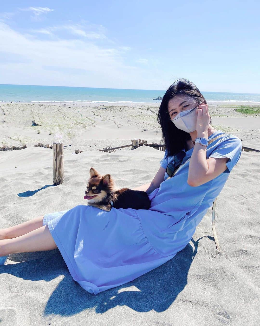 Rina Itagakiのインスタグラム：「ニコを家族に預けるついでに寄った中田島砂丘が思いの外楽しかった😆 明日からまた1週間がんばりましょ✌️ #チワワ #チワワ部 スタグラム #イヌスタグラム #チョコタン #チョコタンチワワ #いぬのきもち #チワワのいる暮らし #chihuahua #doglover」