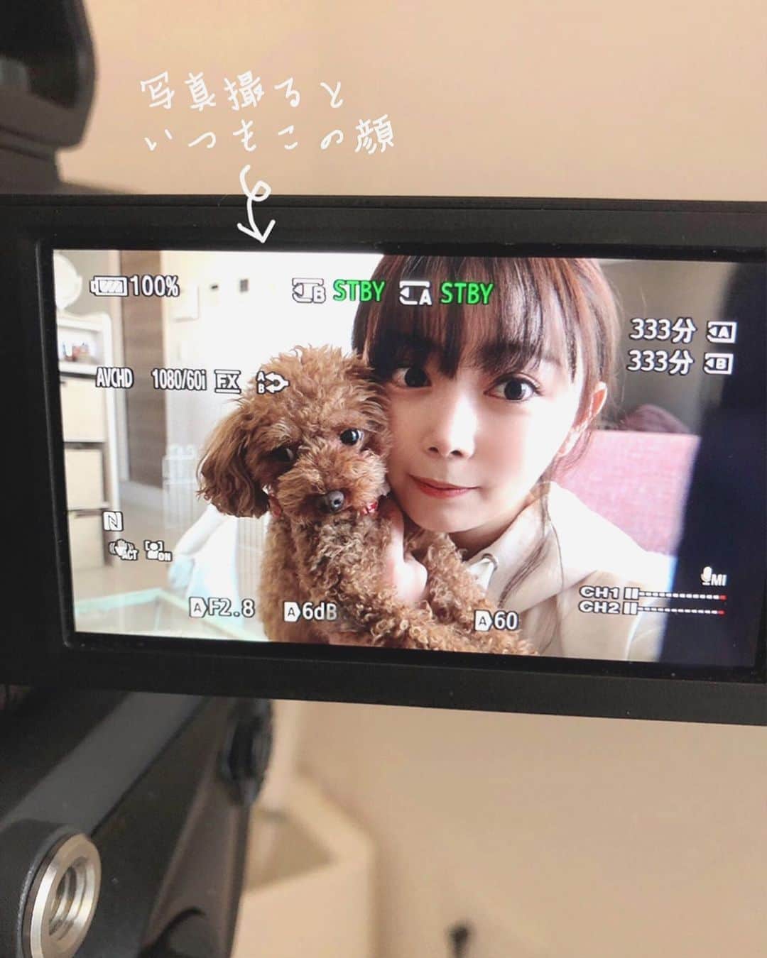 のインスタグラム：「お家に定点カメラが2台セットされました🎥(気分は、YouTuberさん✨)  これから3日間、ある人とどちらが食品ロスを極限まで減らして料理できるか対決します🍳🔥  私的難関は、まるごとのお魚。普段ついつい切り身ばかり購入してしまうので、アラをどう調理すればいいか、、、💦  #sdgs #フードロス #食品ロス #お料理対決 #愛犬 #トイプードル #福岡 #アナウンサー #辻満里奈」