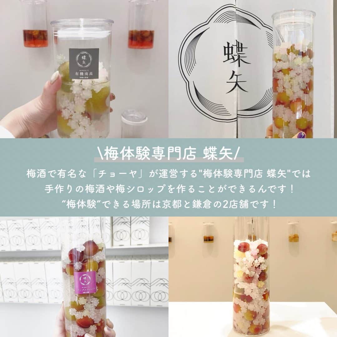 SUCLEさんのインスタグラム写真 - (SUCLEInstagram)「#蝶矢  "梅体験専門店 蝶矢"で梅酒や、梅シロップ作りを体験してみませんか？  梅酒で有名な「チョーヤ」が運営する梅体験専門店 蝶矢では手作りの梅酒や梅シロップを作ることができるんです🍸  “梅体験”は京都と鎌倉の2店舗でできます！  みなさんも是非参考にしてみてくださいね🌷  ※新型コロナウイルス感染拡大防止の為、節度ある行動と共に、お出かけをする際はマスクの着用など感染拡大防止にご協力お願い致します。  photo by @kasumi.fujimoto @kgy.3146 @shunsuke.1124 @mokota128 @natsumihatsuyama @n.tyanko   ﻿ @sucle_ では紹介する写真を募集中🤍 タグ付けやハッシュタグをつけてくれた投稿からもピックアップした写真をリポストしています！﻿ #sucle をつけるかこのアカウントをタグ付けして投稿してね📸﻿ ﻿  #sucle #シュクレ #梅酒 #梅シロップ #梅体験専門店蝶矢 #チョーヤ #choya #こんぺいとう #梅酒作り #梅シロップ作り #梅酒好き #梅酒づくり #蝶矢梅体験専門店 #蝶矢梅シロップ作り体験 #蝶矢梅酒作り体験 #鎌倉 #京都 #鎌倉観光 #京都観光 #梅酒大好き #こんぺい糖」5月30日 19時00分 - sucle_