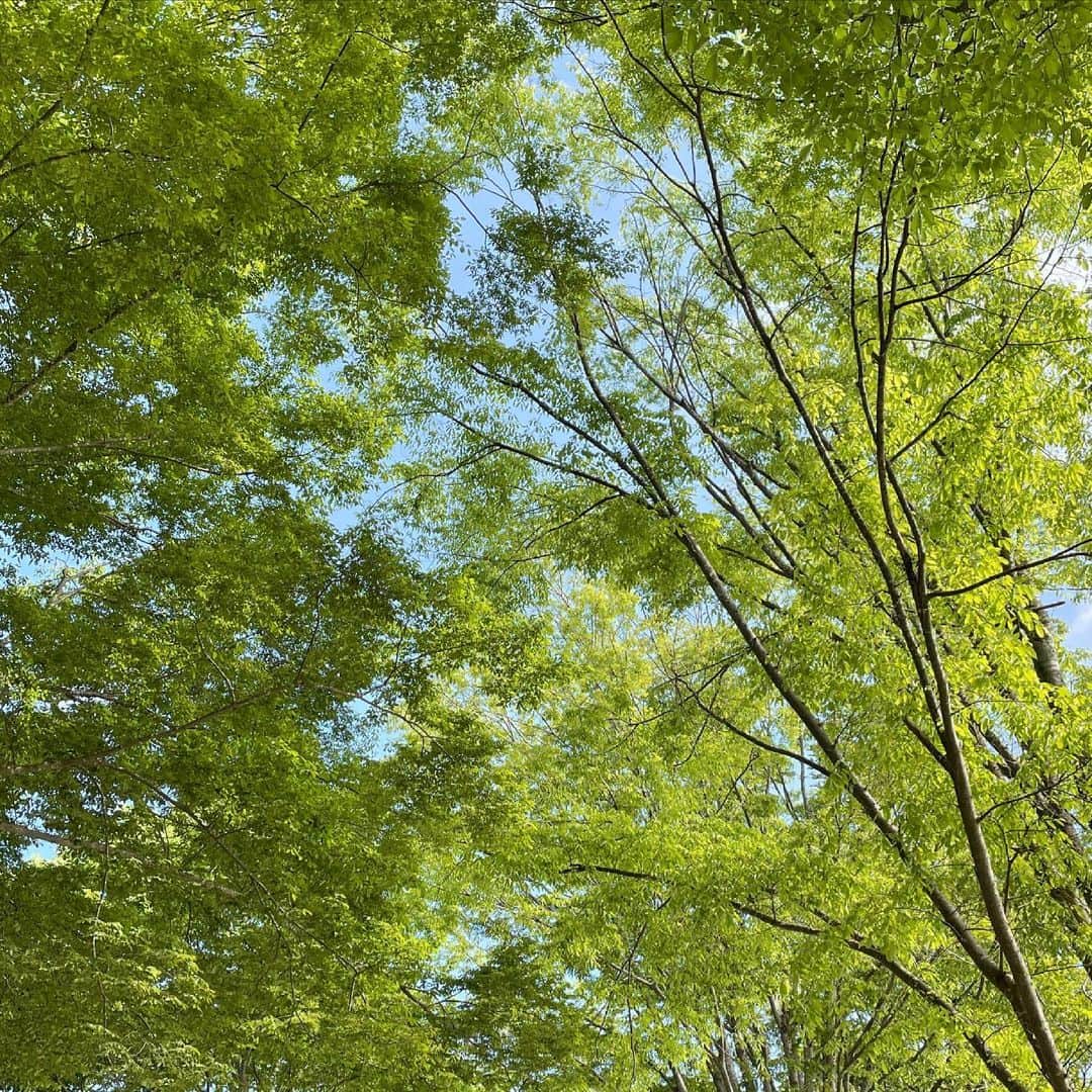 石丸幹二さんのインスタグラム写真 - (石丸幹二Instagram)「今日は、緑がまぶしい地域で仕事します。 青空ってテンションがあがります。 #石丸幹二」5月31日 8時47分 - team_kanji_ishimaru