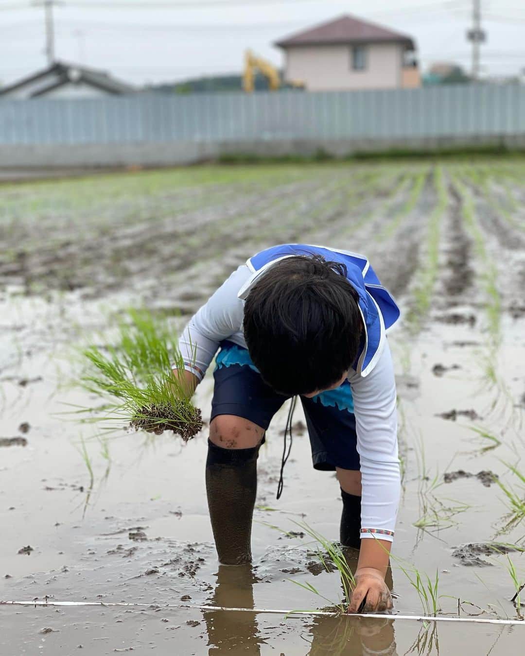 杉山愛さんのインスタグラム写真 - (杉山愛Instagram)「先日🌾親戚の田んぼで初の田植え体験🌾 とっても良い経験をさせてもらいましたーーーーーっ😋 普段の何気なく食べているごはん🍚 感謝の気持ちが更に大きくなりますね🙏」5月31日 9時36分 - aisugiyamaofficial
