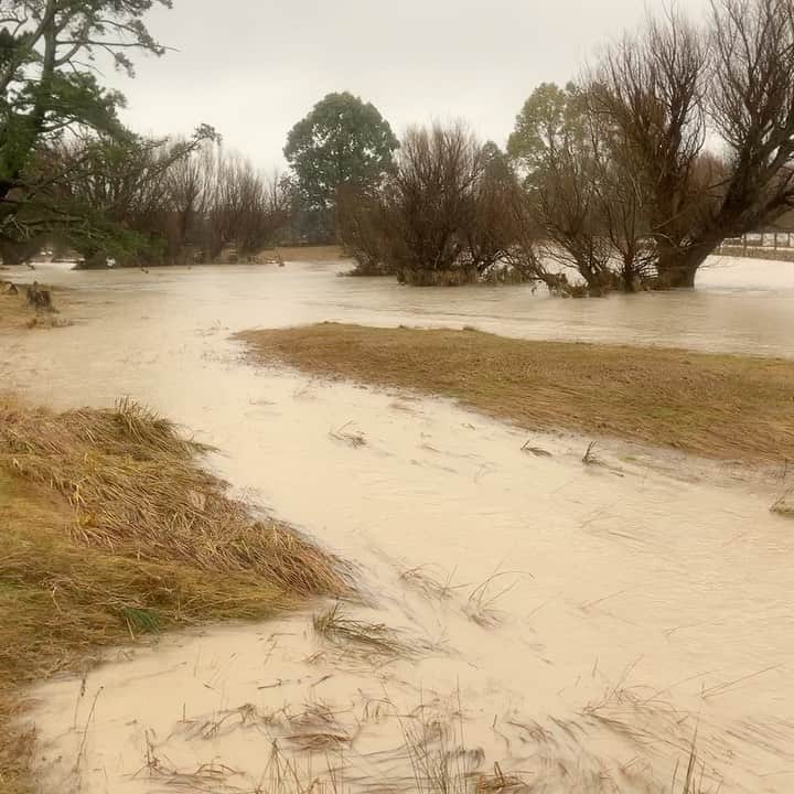のインスタグラム：「Has been a lot of rain here this weekend. Some damage but family and animals all safe. Hope everyone else is staying safe. #farming #deerfarm #rain」