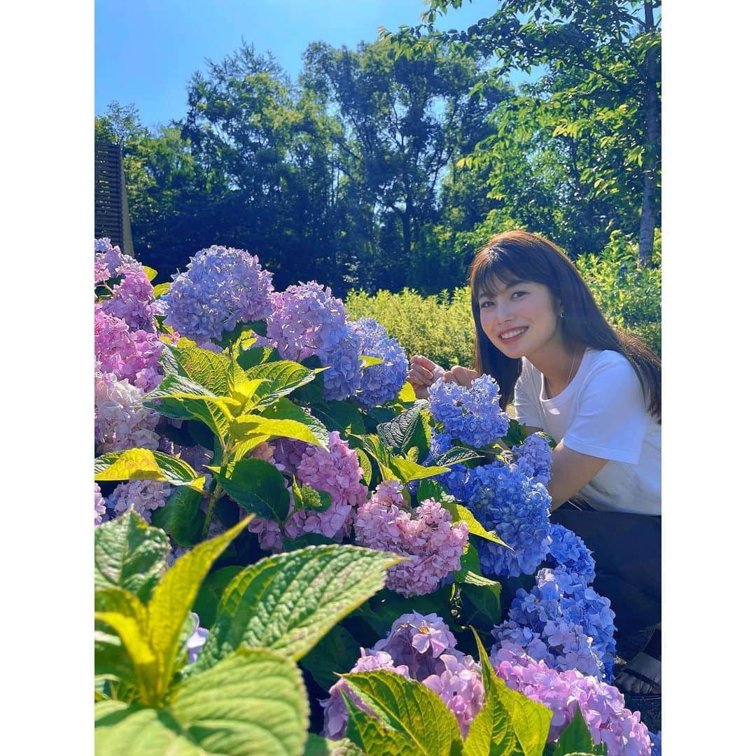 梅山茜さんのインスタグラム写真 - (梅山茜Instagram)「. ＊梅雨の晴れ間☀️＊ . 先日お散歩中に偶然見つけた紫陽花💐 スカッと晴れた青空にとってもよく映えていました！ 紫陽花って梅雨の風物詩ってイメージだけど 青空と太陽にもよく合うよね🧡💙 今年は梅雨入りが早くて色々心配ですが ちょっとした晴れ間を有効活用して楽しめたらいいな♡ 今日で5月も終わり！早い！ 今週もみなさん程々に頑張りましょうね☺️💕 . #紫陽花#梅雨#大阪#高知#徳島#大阪城#大阪城公園#公園#散歩#花畑#アナウンサー#フリーアナウンサー#女子アナ#タレント#アジサイ#あじさい」5月31日 12時00分 - umeyama_akane