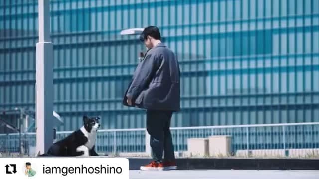 着飾る恋には理由があってのインスタグラム：「素敵なPVが公開👏✨  #星野源 #不思議 #着飾る恋 #着飾る恋には理由があって #第7話6月1日よる10時   #Repost @iamgenhoshino with @make_repost ・・・ 星野源 "不思議" のOfficial Video をYouTubeで公開しました！不思議で、綺麗で、怖くて、温かい地獄を、かわいい相棒と歩きながら歌いました。 ご感想は #不思議と創造 #星野源 のタグまで。待ってます！  The music video for my new song "FUSHIGI" is now available on YouTube. It was a lot of fun to shoot with my buddy. Check it out! #FUSHIGIandCreate #GenHoshino  신곡 "FUSHIGI(不思議)"의 뮤직비디오가 유튜브에서 공개되었습니다. 귀여운 파트너와 함께 한 촬영은 정말 즐거웠어. 꼭 봐주세요.」