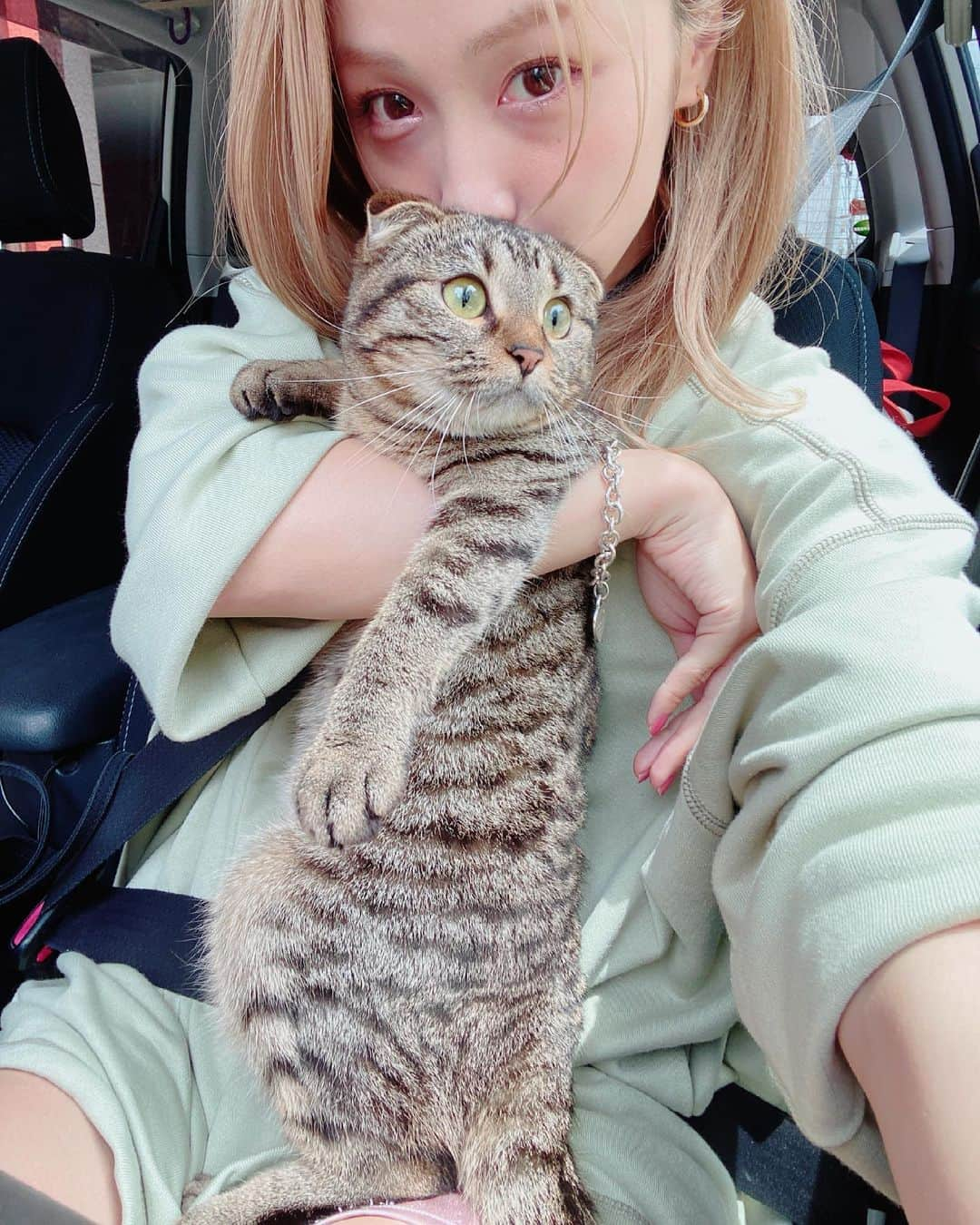 Ami さんのインスタグラム写真 - (Ami Instagram)「君は人間なん？😂w  #人間みたいな猫」5月31日 17時41分 - ami_dream05