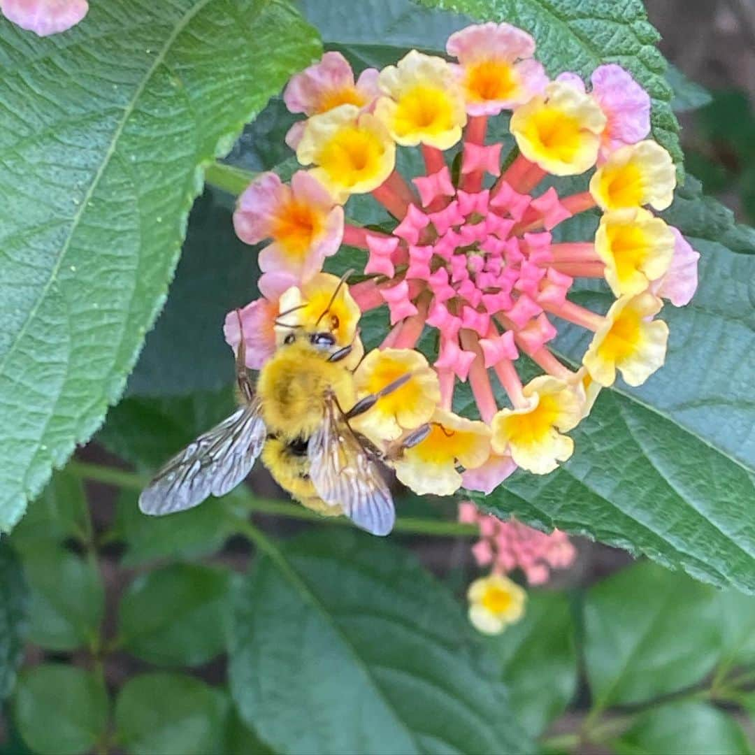 奥田恵梨華のインスタグラム