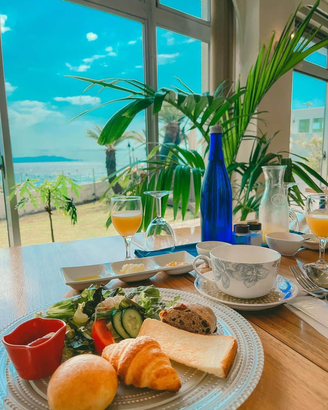 みきでりさんのインスタグラム写真 - (みきでりInstagram)「Today's breakfast🥐🍊🌴 3時半に起きてヘアメイクして、 海まで散歩して日の出見て撮影して、 砂浜でキャッチボールして、 部屋に戻って仮眠してからの朝ごはん🍴✨ 普段こんな朝活しないけど めちゃ充実したし楽しかった(*´▽`*)ﾉ♪  ㅤ ㅤ ㅤ ㅤ ㅤ ㅤ ㅤ ㅤ ㅤ ㅤ #伊豆 #静岡 #下田 #白浜 #白浜旅行 #白浜海岸 #海 #朝ごはん #朝ご飯 #朝活 #朝食 #オーシャンビュー #ホテル #誕生日 #海辺 #ビーチ #ビーチインテリア #ハワイ #ボタニカル #ボヘミアン #インテリア #インテリアコーディネート #ブレックファースト #パン #観葉植物」5月31日 13時14分 - mikidelicious