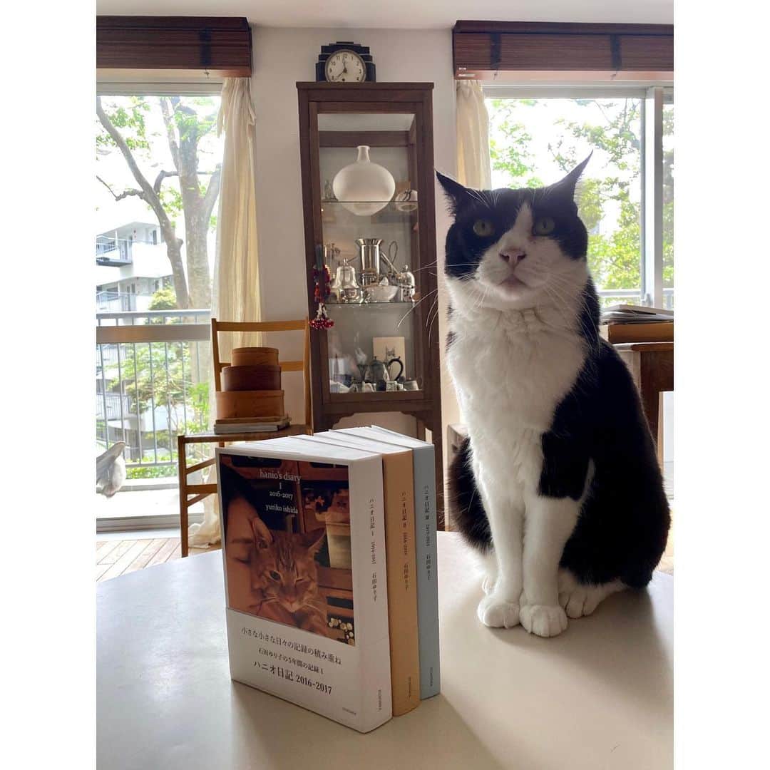 のインスタグラム：「本日発売の『ハニオ日記』。﻿ 出版おめでとうございます🎊﻿ ﻿ 愛の沢山詰まった5年間。﻿ ただただ優しい日々。﻿ ﻿ 全生き物を愛するユートピアの﻿ ゆりごろう王国。﻿ ページをめくりながら、﻿ 勝手にその仲間にいれて頂こう…。﻿ ﻿ （ゆりごろうに抱きしめられた﻿ポポも登場します。﻿ という訳で恐縮してるポポ。）﻿ ﻿ 先日見せて頂いた青い箱は、﻿ 本当に素敵でした。﻿ 箱と本の上の隙間。﻿ 指が入って本が取り出しやすくなっています。﻿ 使う方の事を考えての事だそうです。﻿ 全生き物に本当に優しい。﻿ ﻿ 『ハニオ日記』全3巻﻿ 売り上げの印税は全て﻿ 保護犬、保護猫の為に役立てられるとの事です。﻿ ﻿ love and peace❤︎✌︎﻿ ﻿ ﻿ #ハニオ日記　#ゆりごろうそれは突然ゆりごろう　#ポポ」